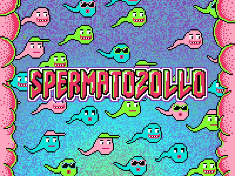 SPERMATOZOLLO