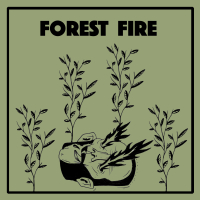 Forest Fire (Single)