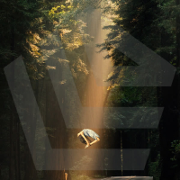 A T A R A X I A (Single)