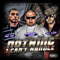 Nothing I Can't Handle (Single)