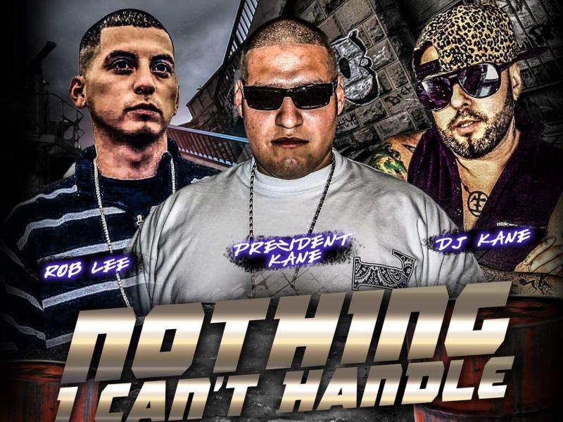 Nothing I Can't Handle (Single)