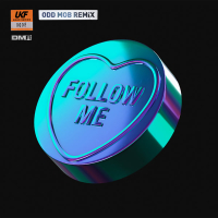 Follow Me (Odd Mob Remix) (Single)