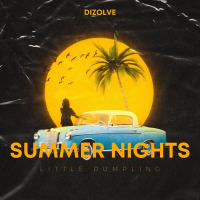 Summer Nights (Single)