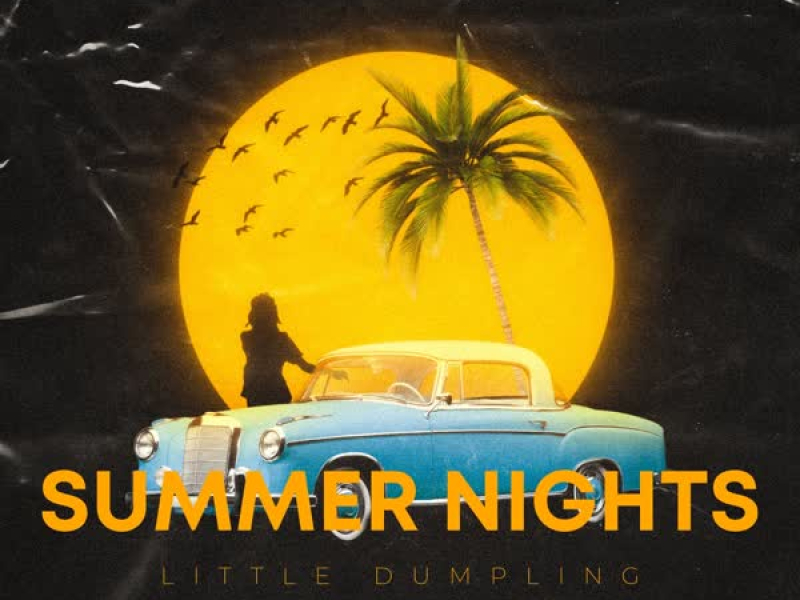 Summer Nights (Single)