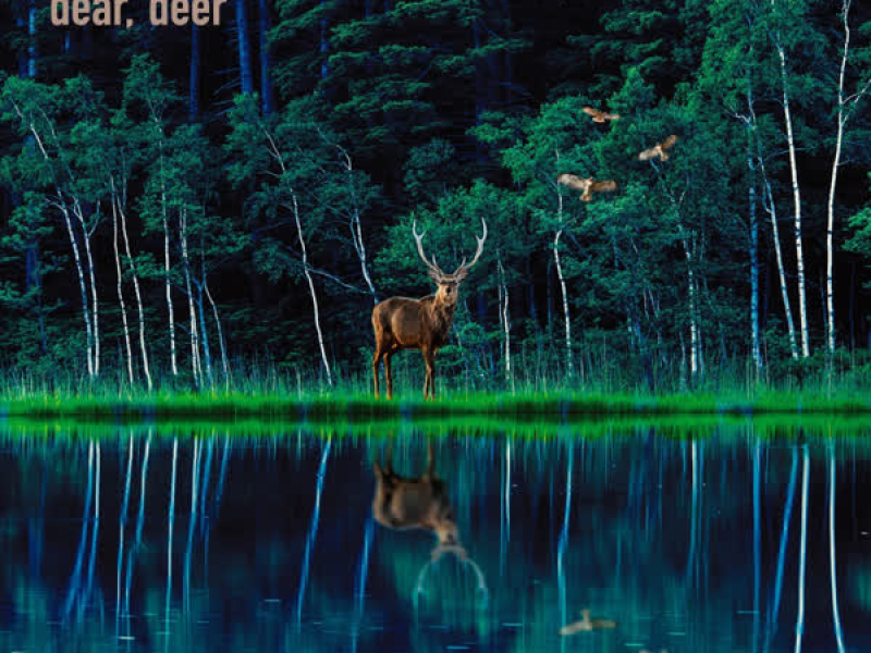 BEST ALBUM dear, deer