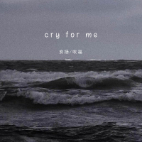 cry for me (Single)