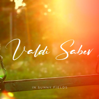 In Sunny Fields (Single)