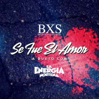 Se Fue el Amor (Single)