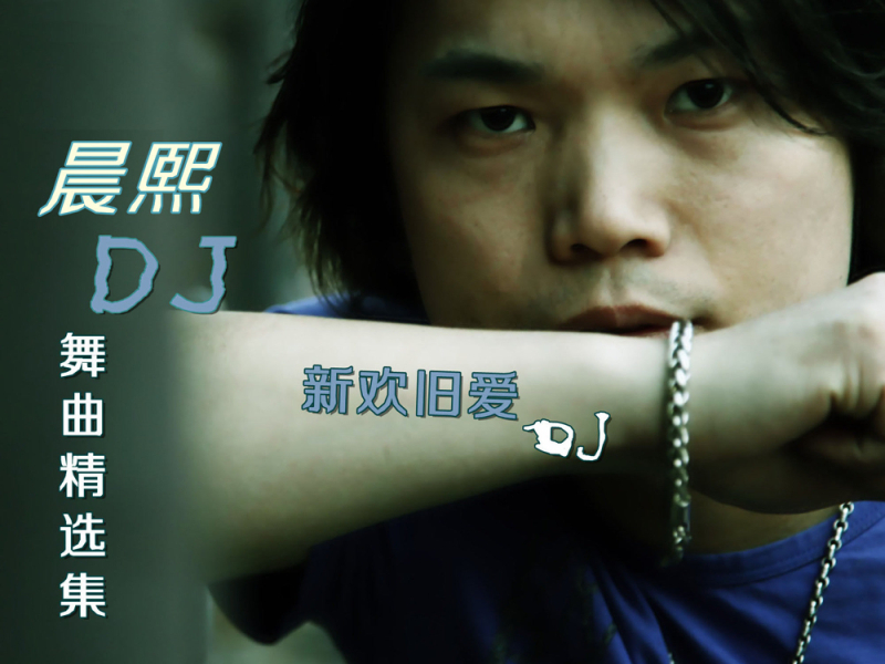 新欢旧爱 (舞曲精选集)