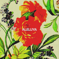 Aleluya (feat. Aaron Moses & Laila Olivera) (Single)