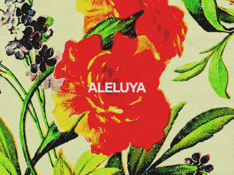 Aleluya (feat. Aaron Moses & Laila Olivera) (Single)