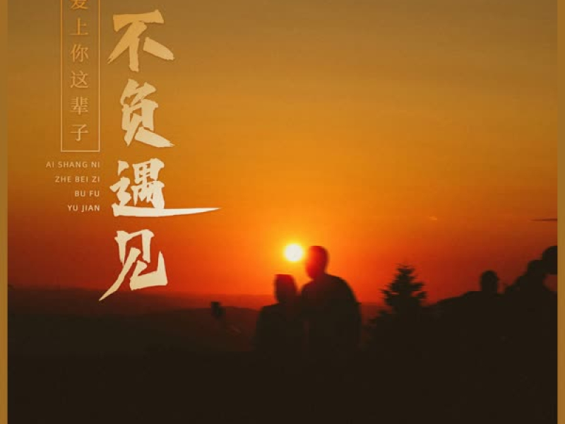 爱上你这辈子不负遇见 (Dj浩然版) (Single)