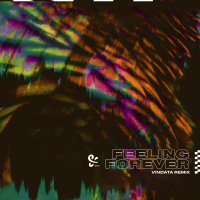 Feeling Forever (Vindata Remix) (Single)