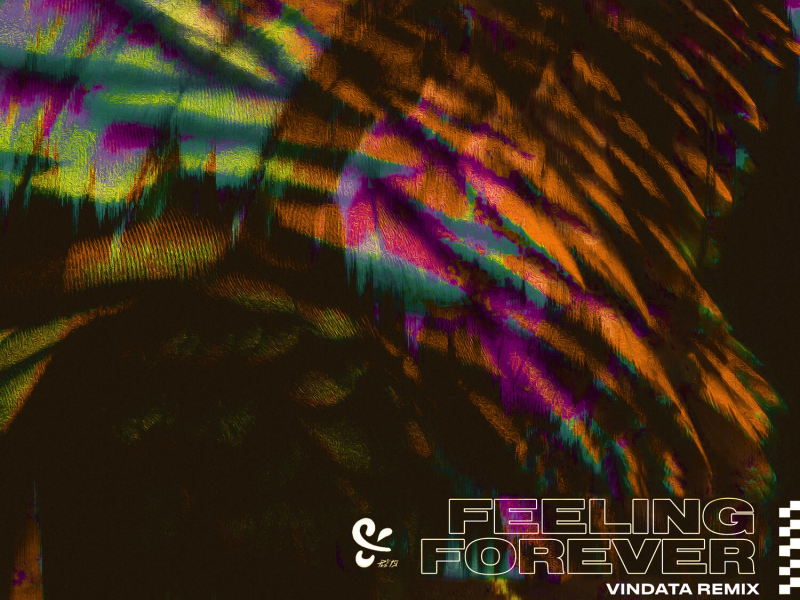 Feeling Forever (Vindata Remix) (Single)