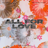 All For Love (Mike Williams Remix) (Single)