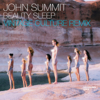 Beauty Sleep (Vintage Culture Remix) (Single)