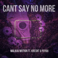 Can't Say No more (Single)