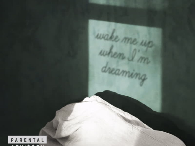 Wake Me Up When I’m Dreaming (Single)