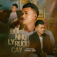 Đời Như Ly Rượu Cay (Single)