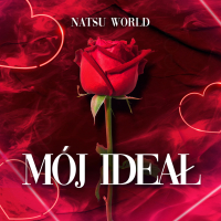 MÓJ IDEAŁ (Single)