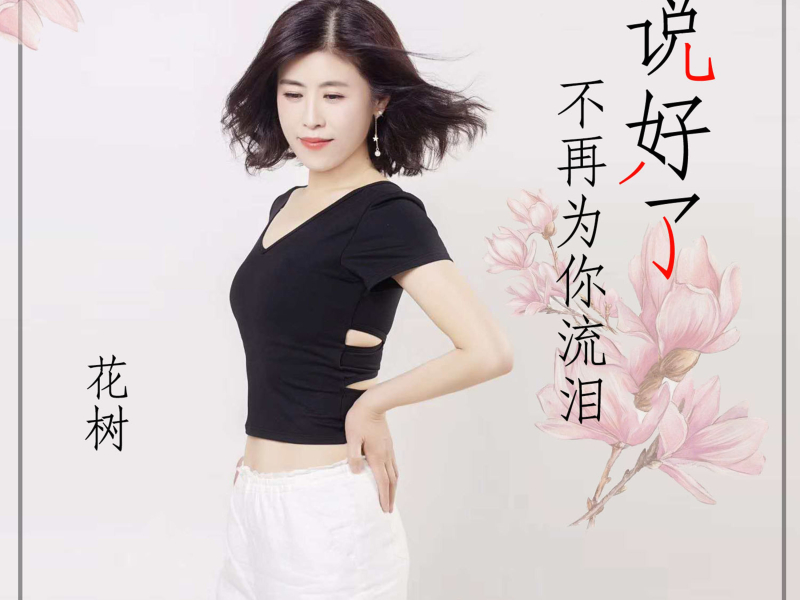 说好了不再为你流泪 (Single)