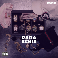 PARA (Remix) (Single)