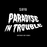 Paradise in Trouble (Birthday Boy Remix) (Single)