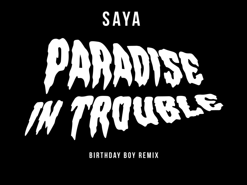 Paradise in Trouble (Birthday Boy Remix) (Single)