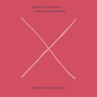 Come Rose Dai Muri (Single)