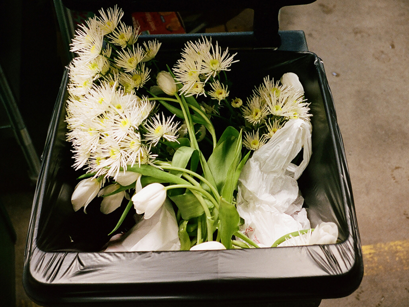 The Romantic Way (Acoustic Version)