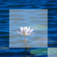 just need you here (Single)