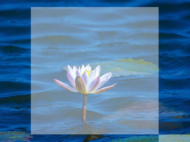 just need you here (Single)