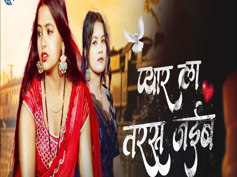 Pyar La Taras Jaib (Single)