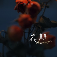 花期 (Single)
