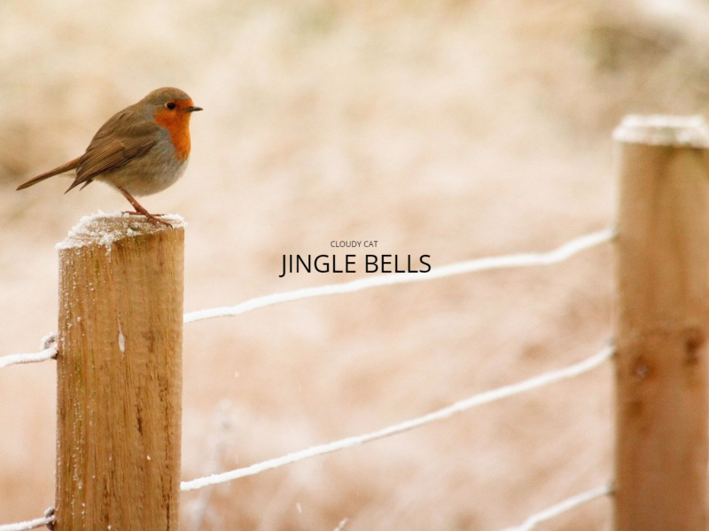 Jingle Bells (Single)