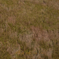 All we need was love (Single)