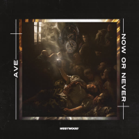 Now Or Never (Single)