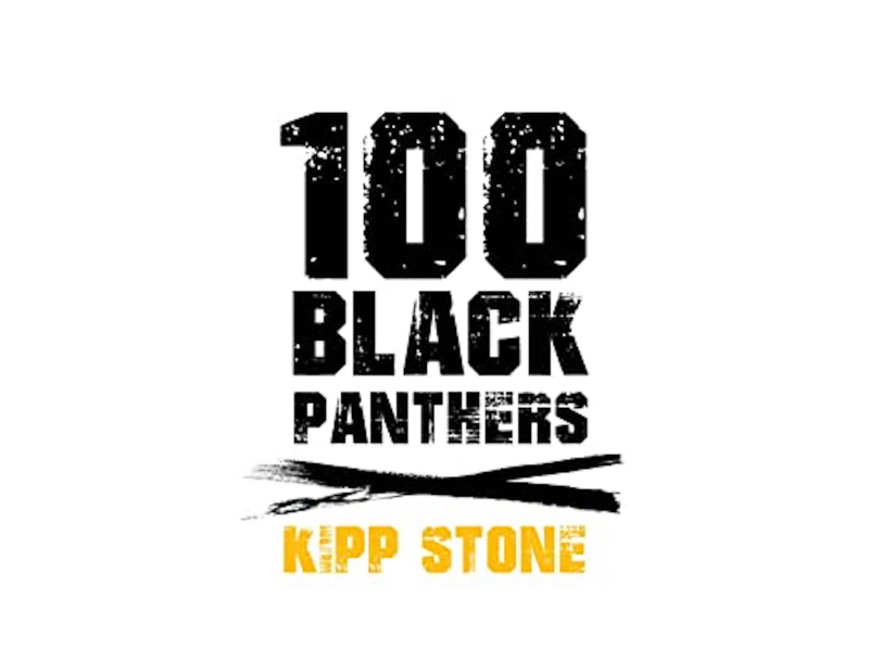 100 Black Panthers (Single)