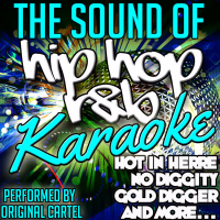 The Sound of Hip Hop R&B: Karaoke