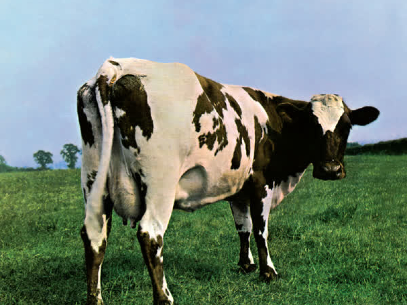 Atom Heart Mother