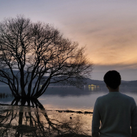 Remember - Back To You (Single)