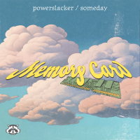 Memory Card (Single)