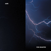 For Granted (Single)