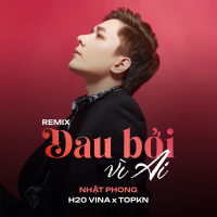Đau Bởi Vì Ai (Remix) (Single)