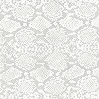 Blankey Jet City 1991-1995