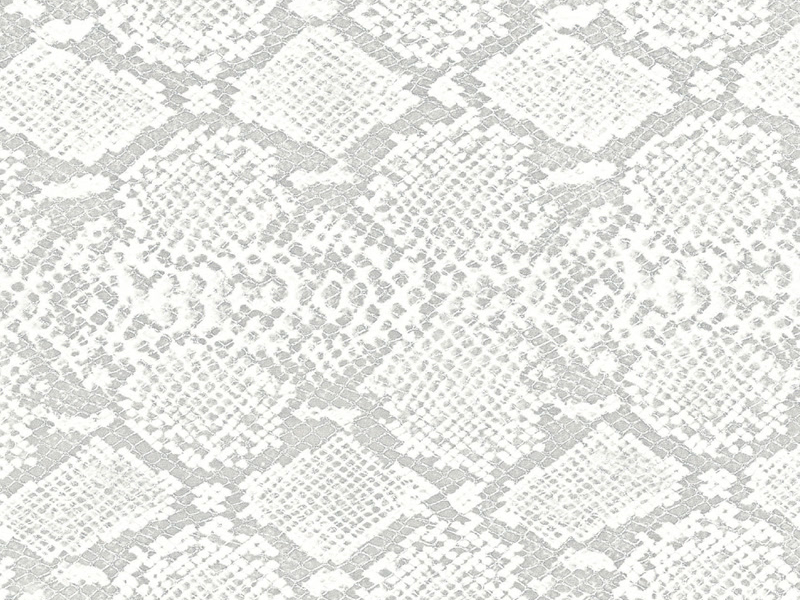 Blankey Jet City 1991-1995