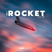 Skyrocket (Single)