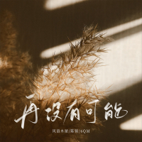 再没有可能 (Single)