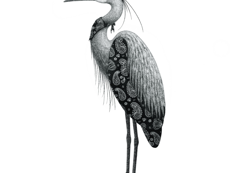 HERON