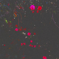 Secret Green (Single)